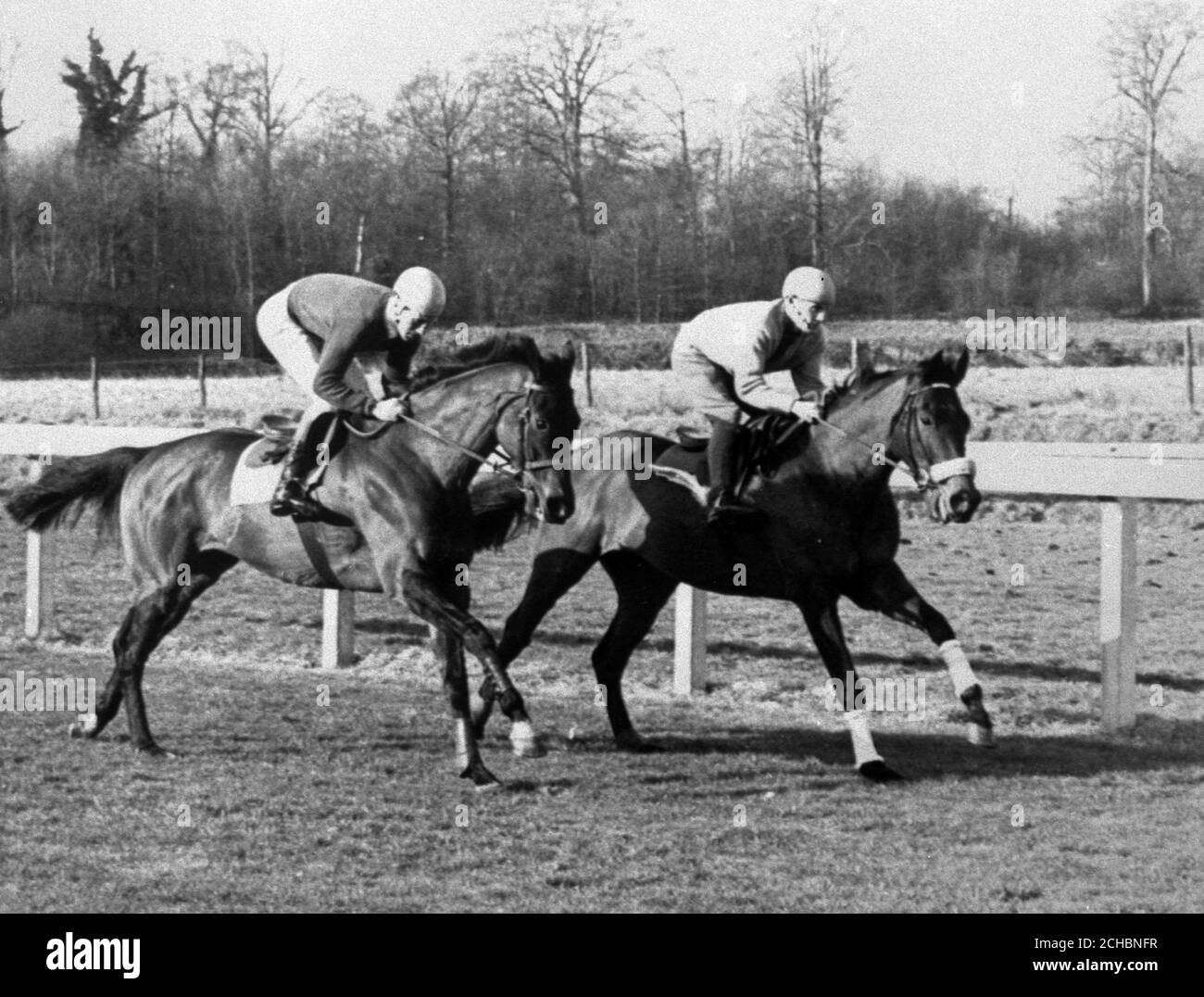 Persian war, mit J. Uttley oben (rechts), hat einen öffentlichen Galopp in Chepstow, Monmouthshire, nach dem Champion Hurdle Race Meeting. Stockfoto
