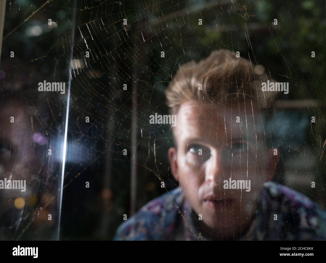 Sam Bompas betrachtet ein Netz, das von einer Golden Orb Weaving Spider im Future Forest webt wird, ein immersives Erlebnis, das von Bompas & Parr im Westfield Stratford City in London geschaffen wurde. Stockfoto