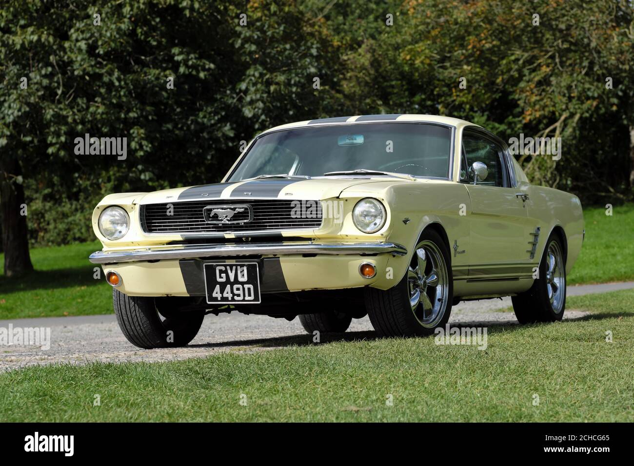 Ford Mustang 1966 Oldtimer Fastback-Version Stockfoto