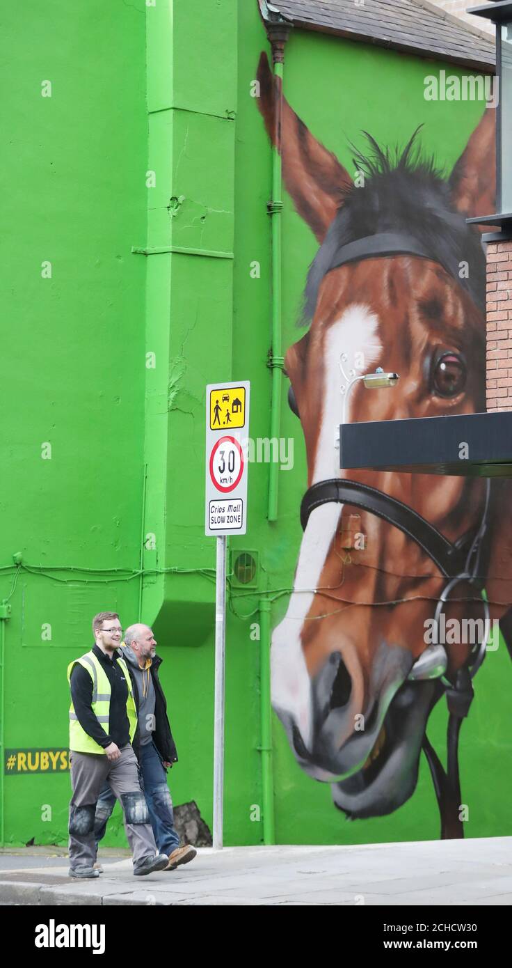 Ein wandbild von Race Horse Faugheen an einer Wand im Stadtzentrum von Dublin vor der Cheltenham Festival 2018. Stockfoto