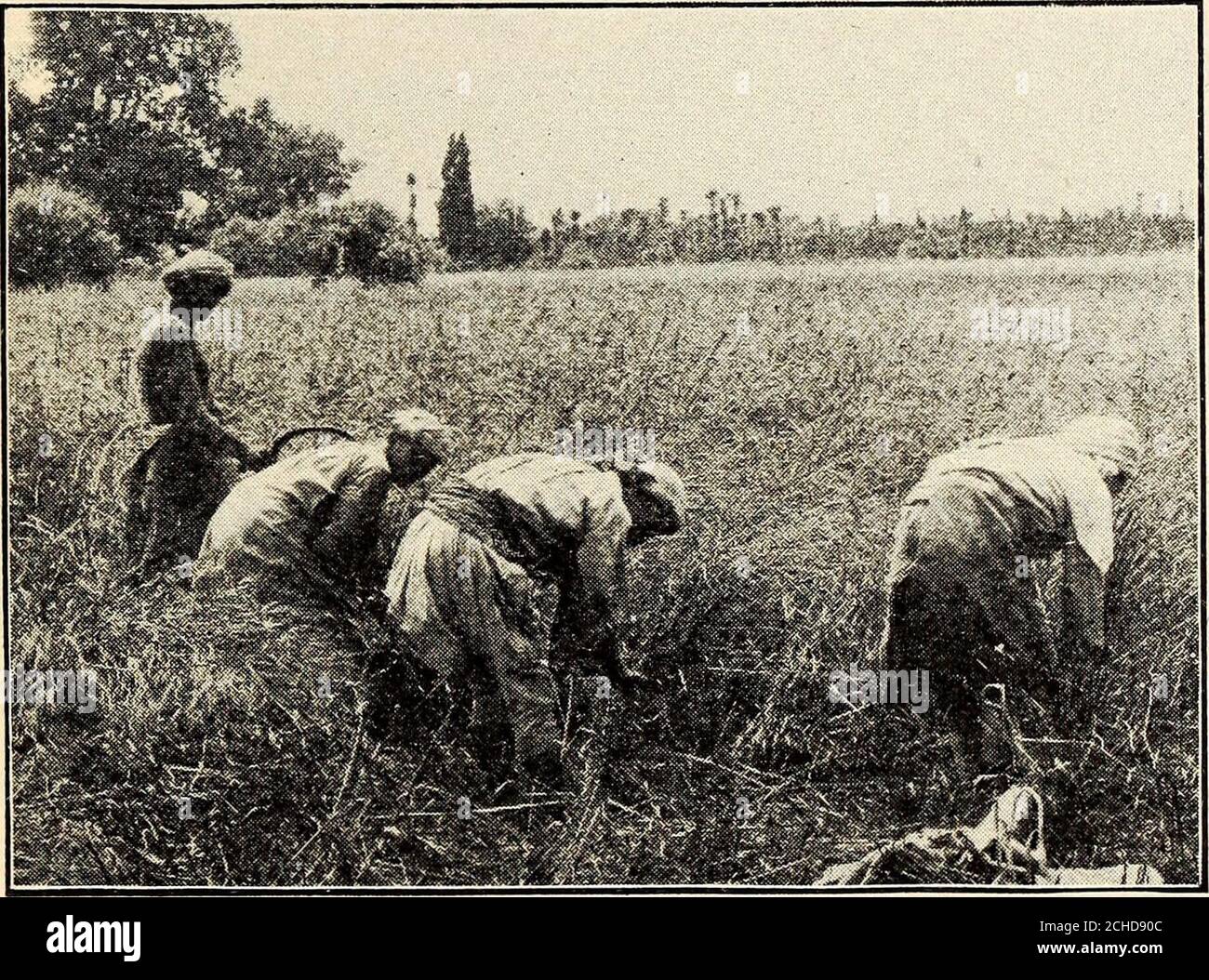 Mccormick Schnitter Stockfotos Und -Bilder Kaufen - Alamy