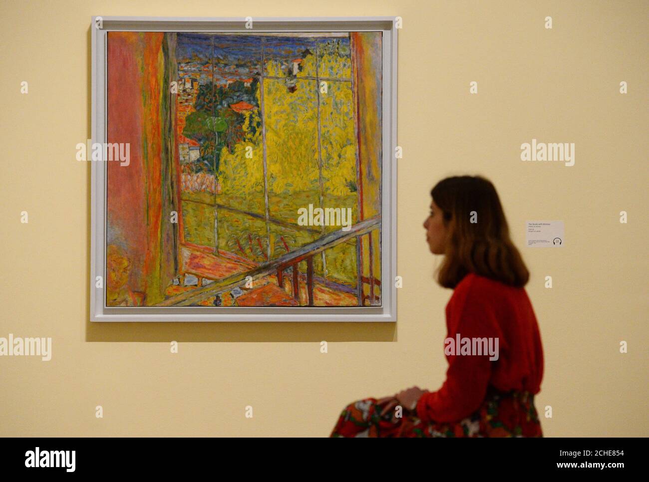 Ein Galerist vor dem Studio mit Mimosa, während einer Presseinterpremiere für Pierre Bonnard: The Color of Memory, in der Tate Modern in London. Stockfoto
