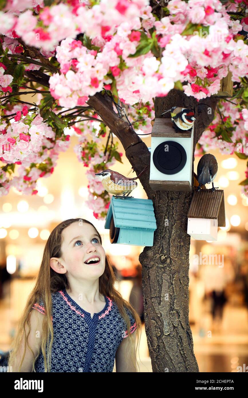 Maddie Whyte, 12, aus Manchester, nimmt an der Einführung einer neuen Initiative im intu Trafford Centre Teil, um die Besucher mit Vogelgesang zu verbinden und ihr Einkaufserlebnis glücklicher zu machen, mit den Klängen von zehn einheimischen britischen Vögeln, darunter Amsel, Rotkehlchen und Nachtigall. Stockfoto