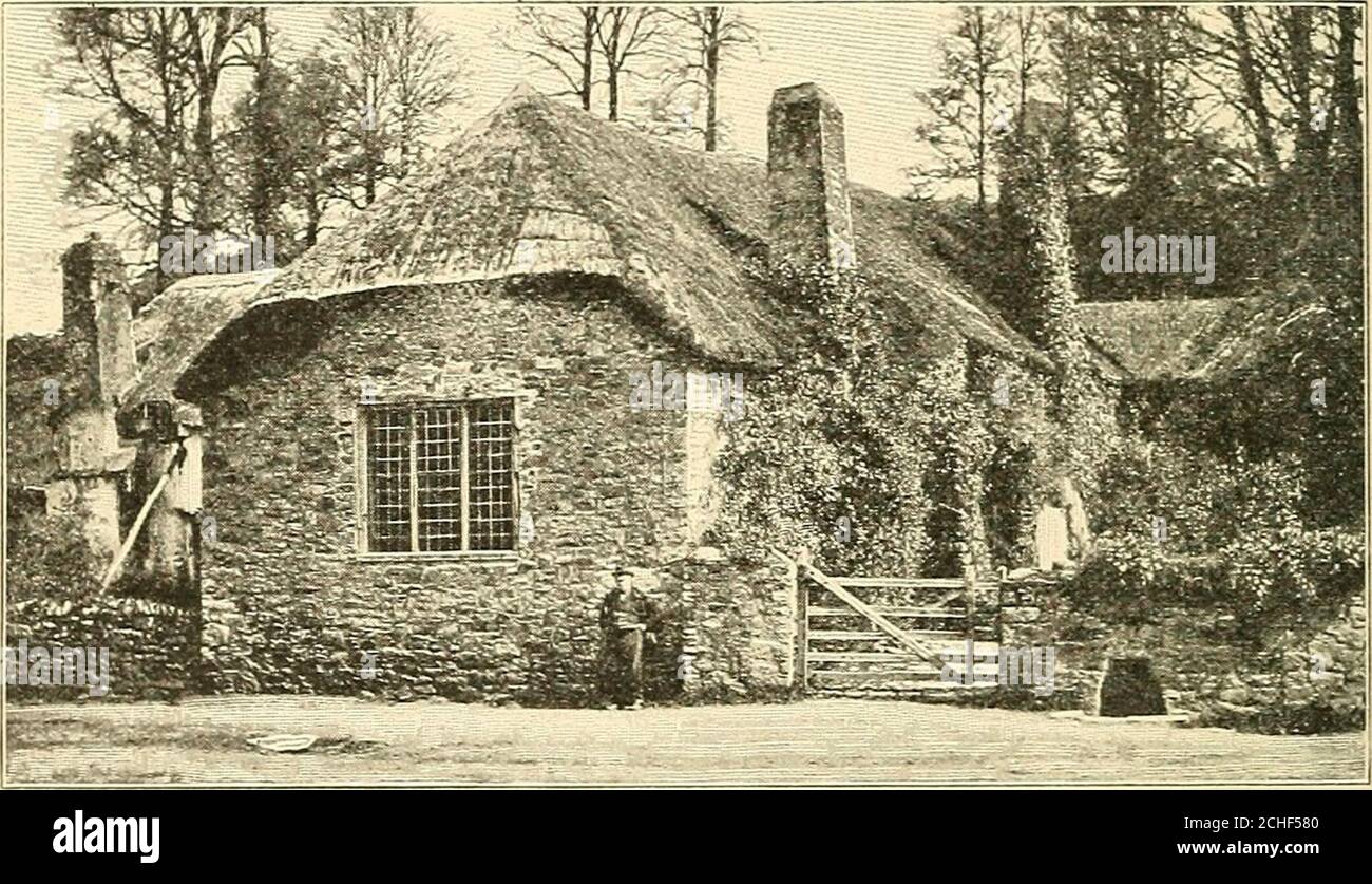 . Europa und andere Kontinente . d. Rüben, Kartoffeln, Bohnen und Erbsen sind weitere wichtige Kulturpflanzen; auch Hopfen, der zusammen mit Gerste zur Herstellung von Bier verwendet wird. Aufgrund der vielen Städte und Gemeinden ist die LKW-Landwirtschaft von Bedeutung; und Obst- und Gemüsegärten sind in der Nähe aller Städte zu finden. Die Nachfrage nach Ackerland war so groß, dass große Flächen von Sumpf wurden durch sorgfältige Drainage zurückgewonnen, und thesenow machen die fruchtbarsten Farmen. Aber trotz der Sorgfalt, die der Bodenbebauung und der Aufzucht von Lebendbeständen gegeben wurde, wird 182 EUROPA weit weniger Nahrung produziert als benötigt b Stockfoto