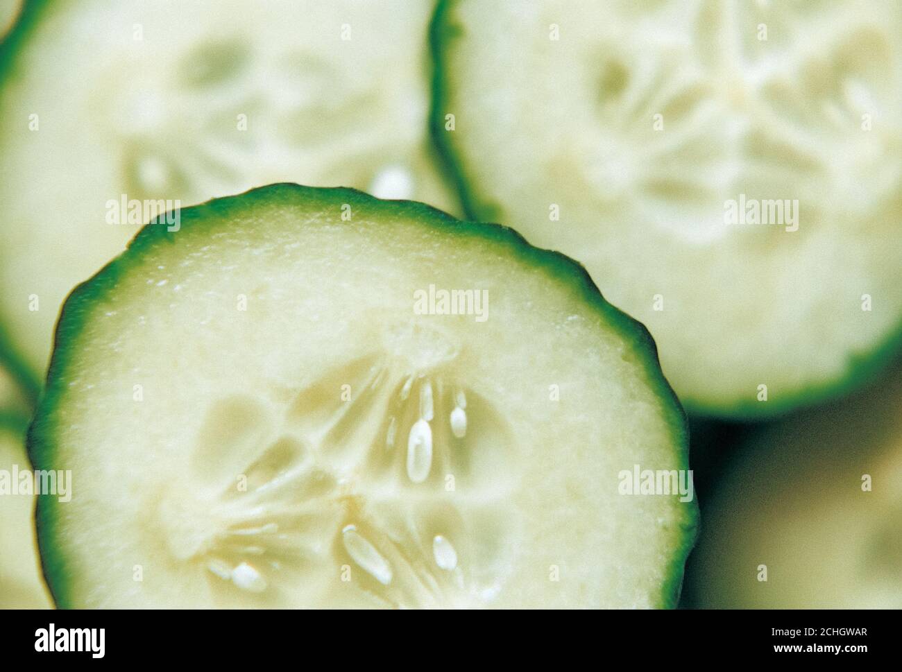 Frische Kreise von rohen Gurken Nahaufnahme, Bio-landwirtschaftliche Ernte aus Gemüsefarm, selektive Fokus Bild, positive Film-Scan Stockfoto