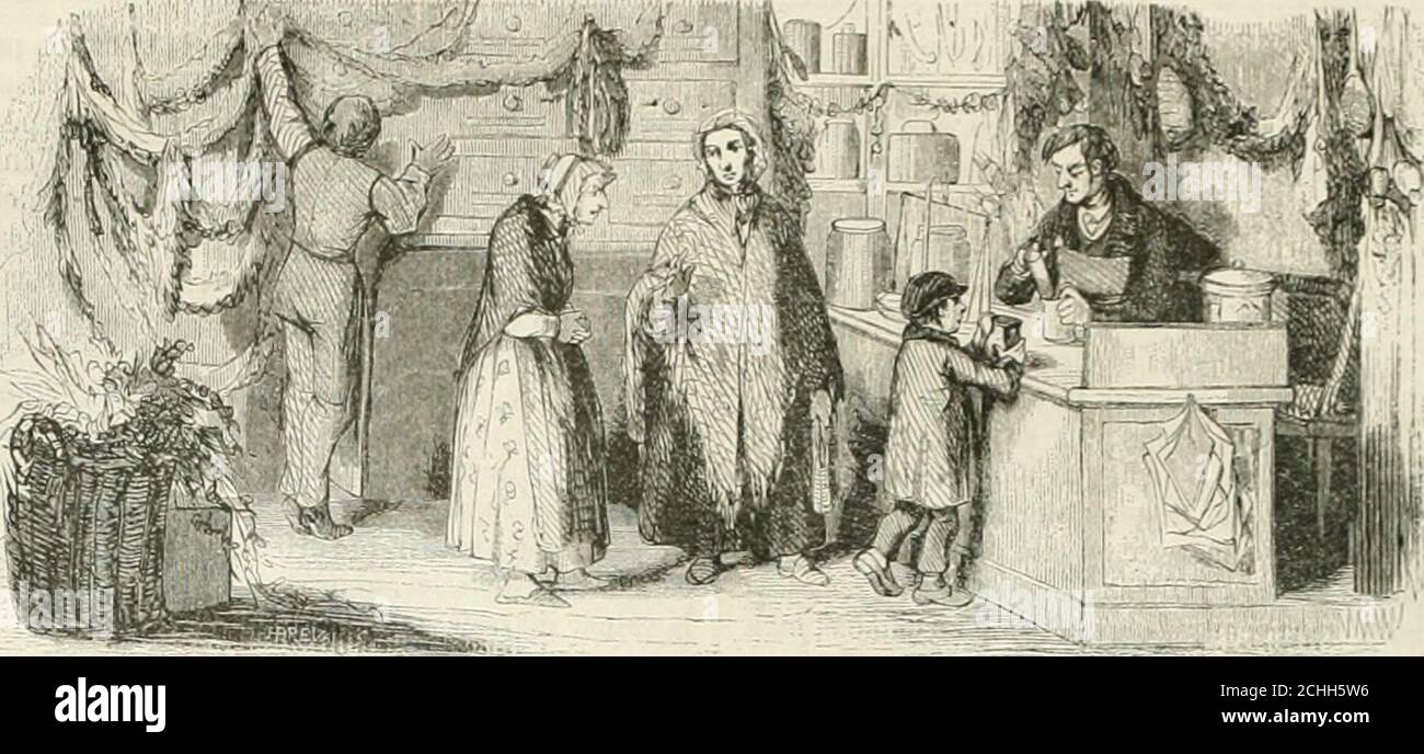 . Les Français peints par eux-mêmes . ^x^m. IIERBOHISTE i. Rorx Stockfoto