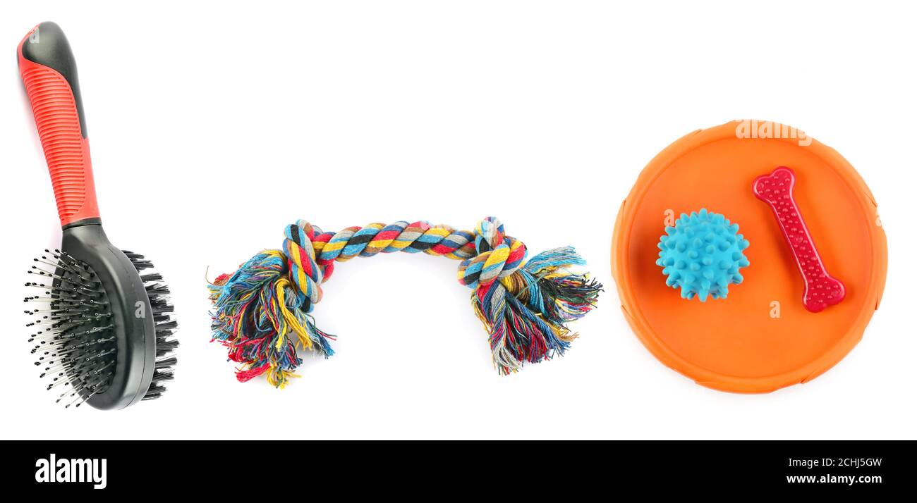 Zubehör für Haustiere. Kamm für Hunde, buntes Seil, Frisbee Scheibe isoliert auf weißem Hintergrund. Breites Foto. Stockfoto