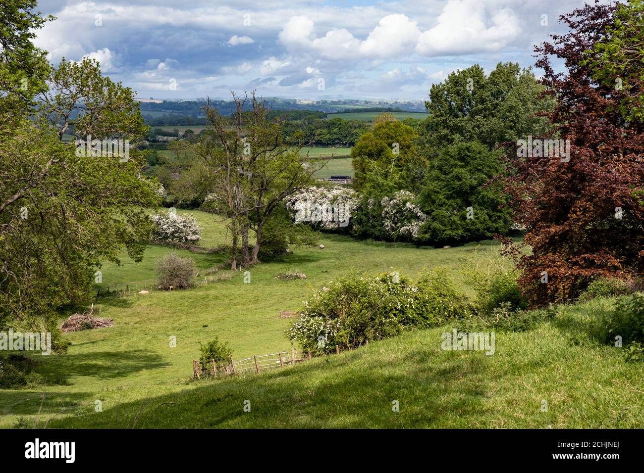 Blick über Felder aus dem Dorf Gumley, Leicestershire, England, Großbritannien Stockfoto