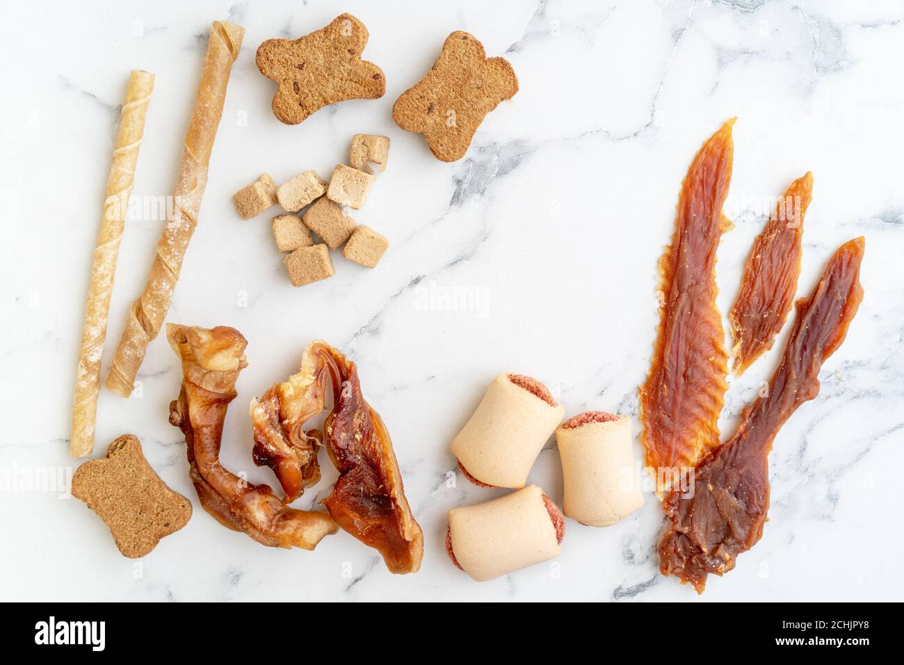 Ein Arrangement von Hundefutter mit Kopierplatz. Stockfoto