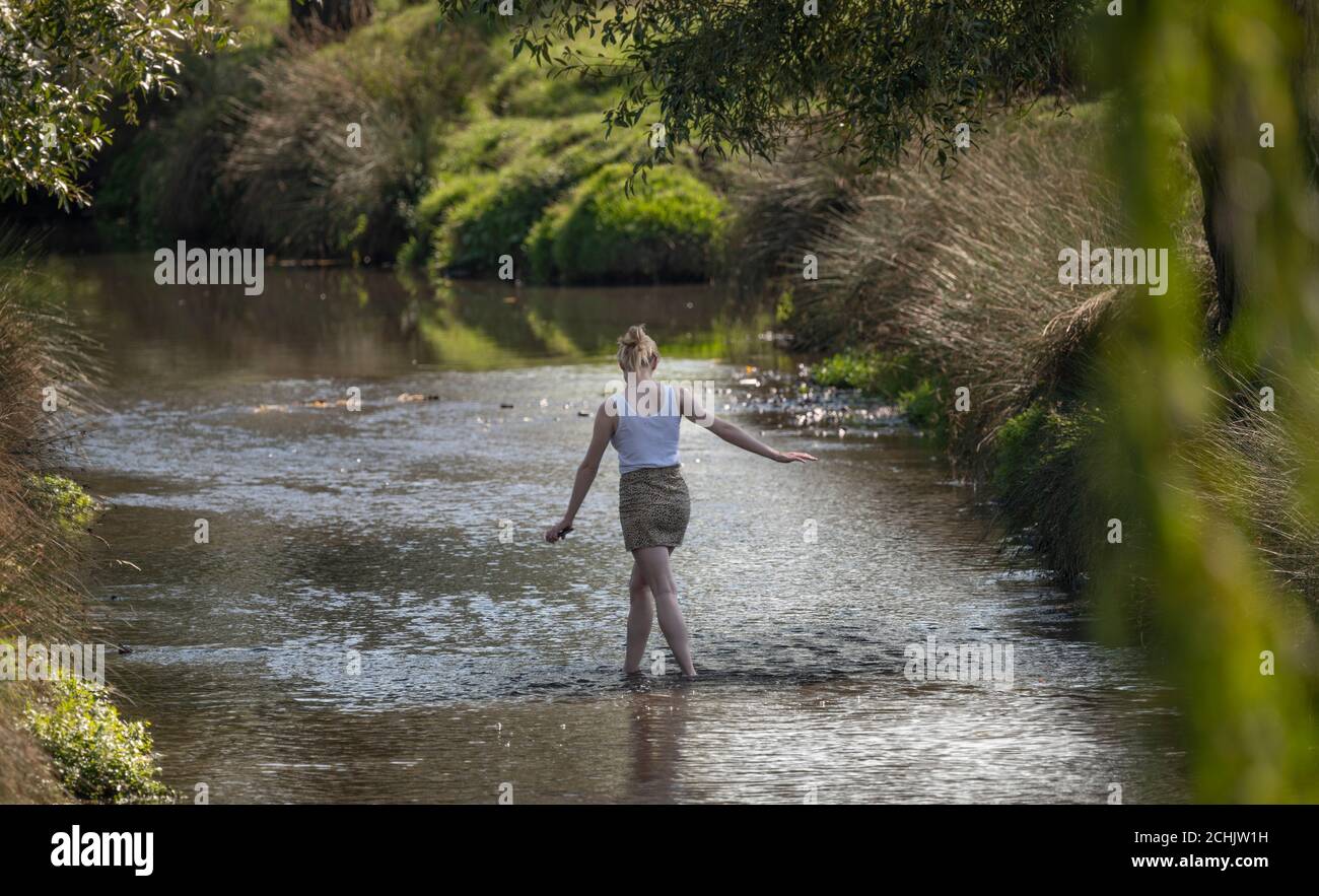 Richmond Park, London, Großbritannien. 14. September 2020. Eine junge Frau paddelt im Beverley Brook, die an einem heißen Tag Mitte September durch den Richmond Park läuft. Quelle: Malcolm Park/Alamy Live News. Stockfoto