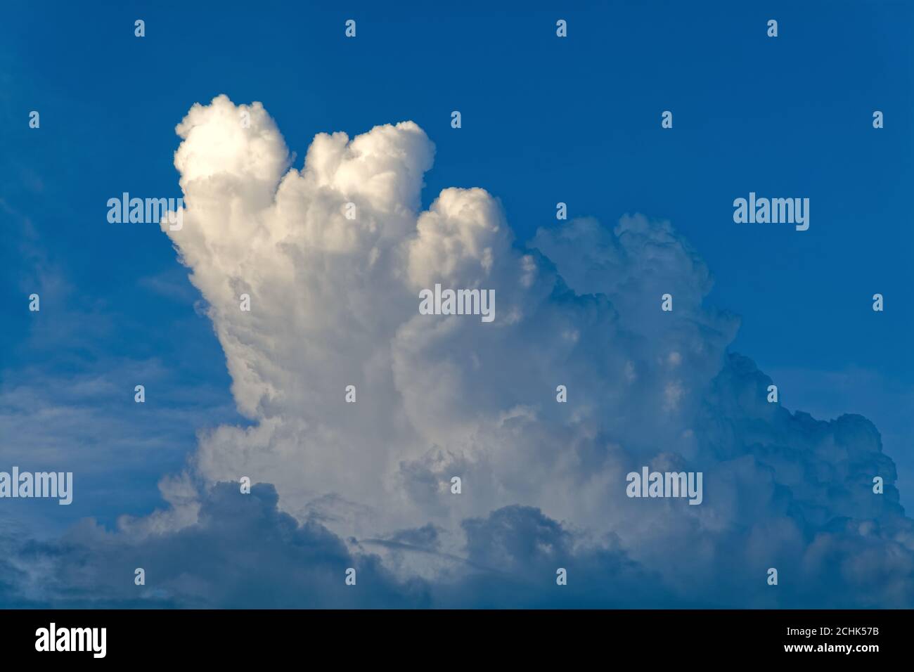 Dunkle Kumuluswolkenbildung vor sehr dunkelblauem Hintergrund Stockfoto