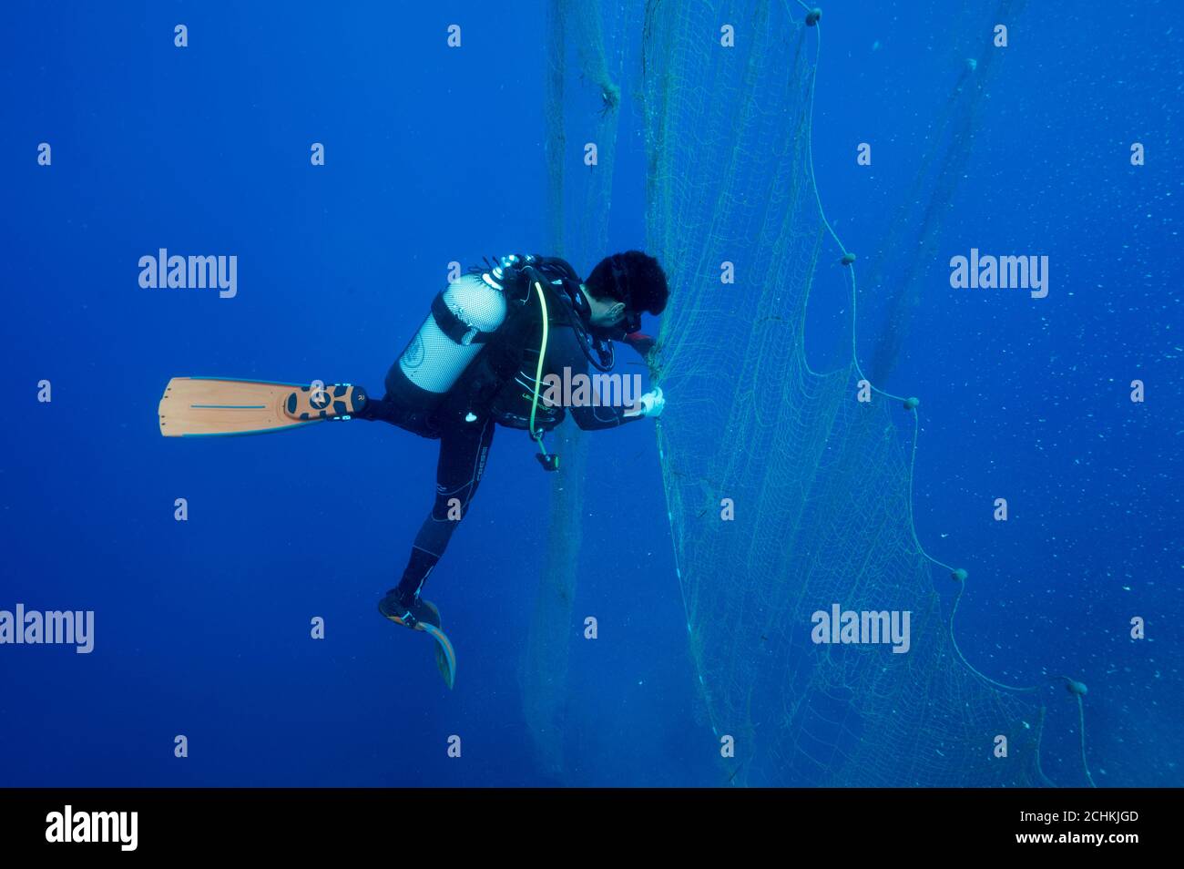 Reinigung von Geisterfischernetzen durch die Mediterranean Conservation Society In Gokova Bay Special Umwelt Schutzgebiet Türkei Stockfoto