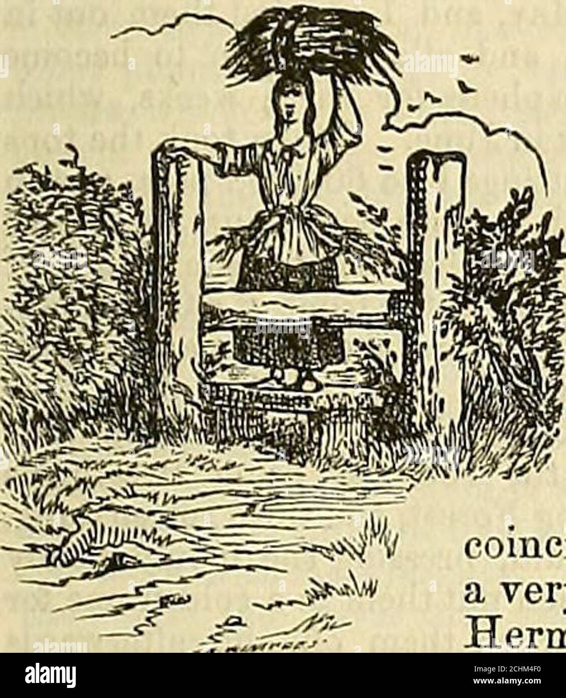 . Das Journal des Gartenbaus, Landgärtner und Landmänner . ts MoonsAge. ClockbeforeSun. Tag des Jahres. Barometer. Thermom. Wind. Regen in Inches. 31 zu Holz-Sauerampfer-Blüten. 29.623 – 29 479 Grad, 60 – 34 Grad 0,08 m. h. 41 al5 m. h. 28 af 6 m. h. 44 3 12 m. s.4 21 90 1 W Wasser Fenchel Blumen. 29.844-29.769 58-48 S.W. .02 33 5 31 6 5 4 13 4 2 91. Frühe Orchis-Blüten. 29.639-29.497 57 – 56 S. W. .24 36 5 32 6 24 4 14 3 44 92 3 F Karfreitag. 29.786-29.576 63 – 35 S. W. - 34 5 33 6 46 4 15 3 26 93 4 S Spider Orchis. [1804. 30.011 – 29.980 60-38 S. W. – 32 5 35 6 O 17 3 8 94 5 Sohn Ostersonntag. W. G. Stockfoto