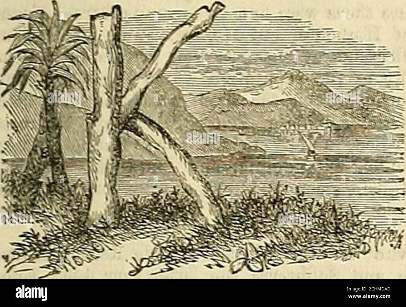 . Das Journal für Gartenbau, Landgärtner und Landmänner . Violette Blüten. Royal Hort. Soc. Gründete 1S04. 3 Sonntag in Lknt. Kleinere Periwinkle Blüten. WOCHENKALENDER. Wetter neae London in 1862. 29,2S5 – 29.22429.790 – 29.55429.903-29.41529.505 – 29,44S29,557 – 29.39129.631 – 29.54129.547-29.394 Temperaturgrad 49 – 1447 – 1446 – 3358 – 4560 – 4561 – 4151 – 36 Wind. N.W.N.W. s.w.s.w.s.w. S.E.S. Regen in Inches. SanRises. .11.09.01.02.15 SnnSets. Mooni Rises Moons■und Sets1 Age. Uhr vor Tag von6un. Jahr. m. h. m. h.l 44 af 6 4taf5 42 6 42 5 40 6 44 5 37 6 46 5 35 6 48 5 33 6 49 5 31 6 51 5 20 m 542 Stockfoto