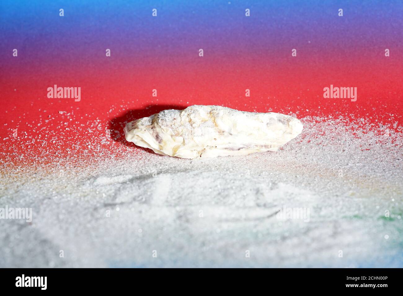 Selektive Aufnahme von Kalkstein auf weißem Sand Stockfoto