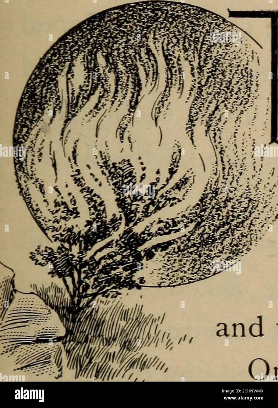 . Geschichten aus dem Hebräischen . MOSES IN DEN BINSEN aus dem Gemälde