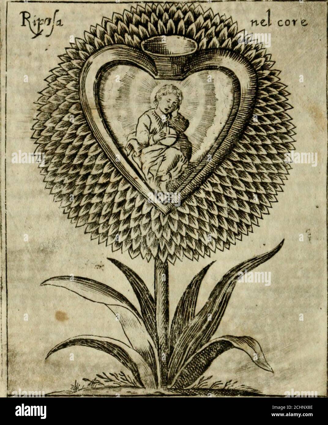 . Fortezza reale del cuore humano : batzuta soauemente, saettata amorosamente, superata gloriosamente, e posseduta & ornata gratiosamente dall' amoroso Giesù : disegnata in figure con alcune brieui ma affettuose meditationi et altri tanti soliloquij . andatoi.^ alia perditione ; oh in telice aninia   ,Mia, limile Ibno ò Mio Dio a aueil ignorai)lebeftiuola, la quale non fapendo deilerc condoc-taal macello,lenc vaqua:,elubaidanzofaj laltel-janto con vna ghirlanda di fiori in Capo; Ohi-m.e fo Milch Stimme Omo è flato^lpcniìerato fìnhoia orsù Stockfoto