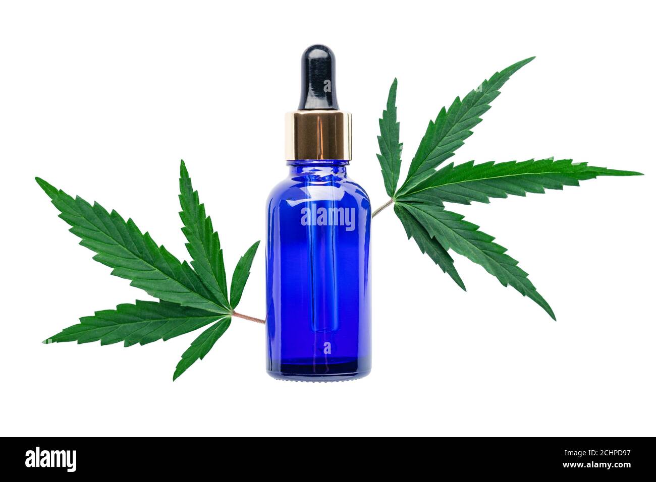 Hanföl Serum in blauen Glas Tropfflasche mit Cannabisblättern isoliert auf weißem Hintergrund. Cannabisblatt mit kosmetischem CBD-Öl für die Hautpflege Stockfoto