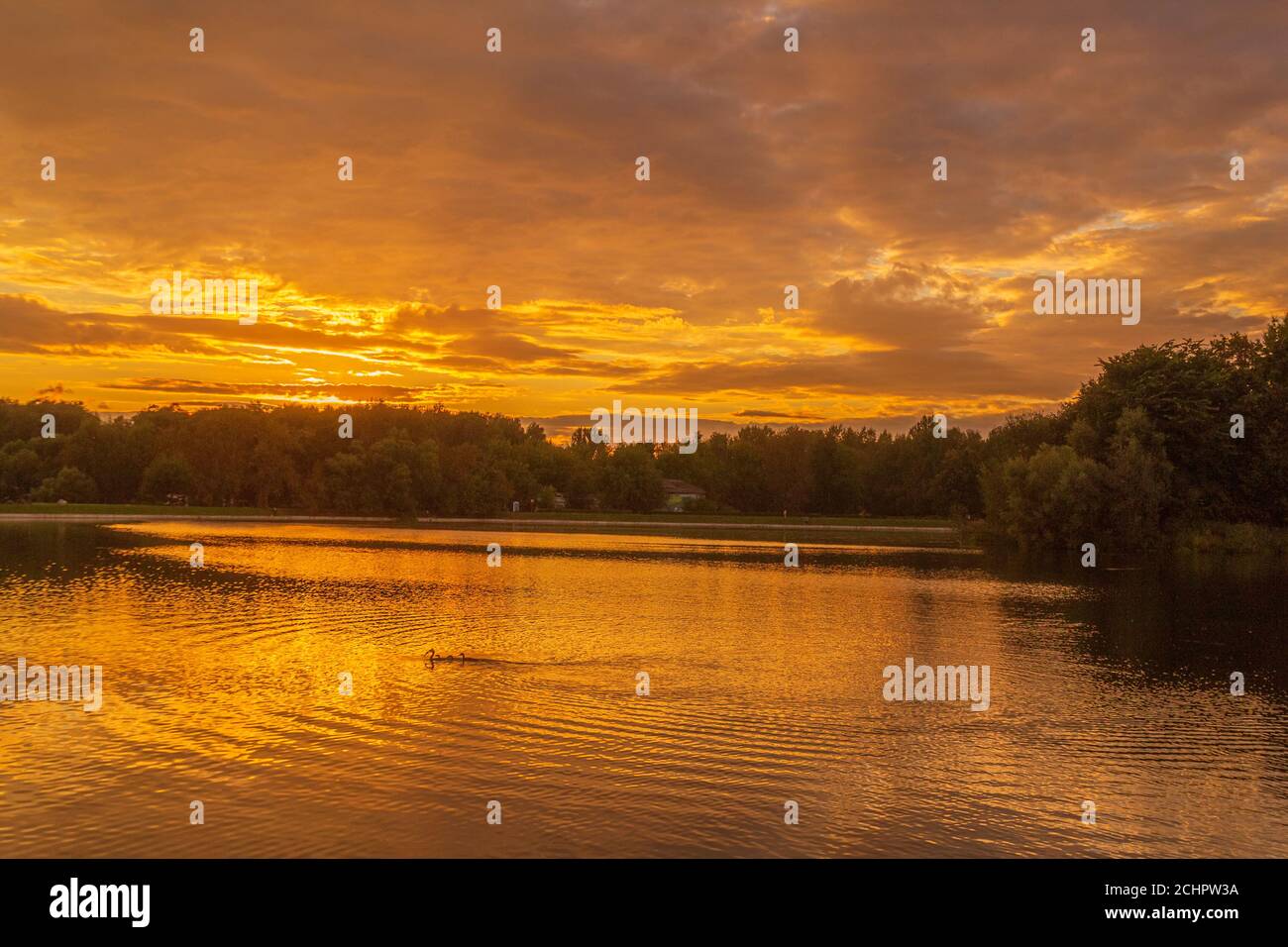 Spiegelung der Sonne im Wasser bei orangefarbenem Sonnenuntergang. Sonnenuntergang auf einem großen See. Stockfoto