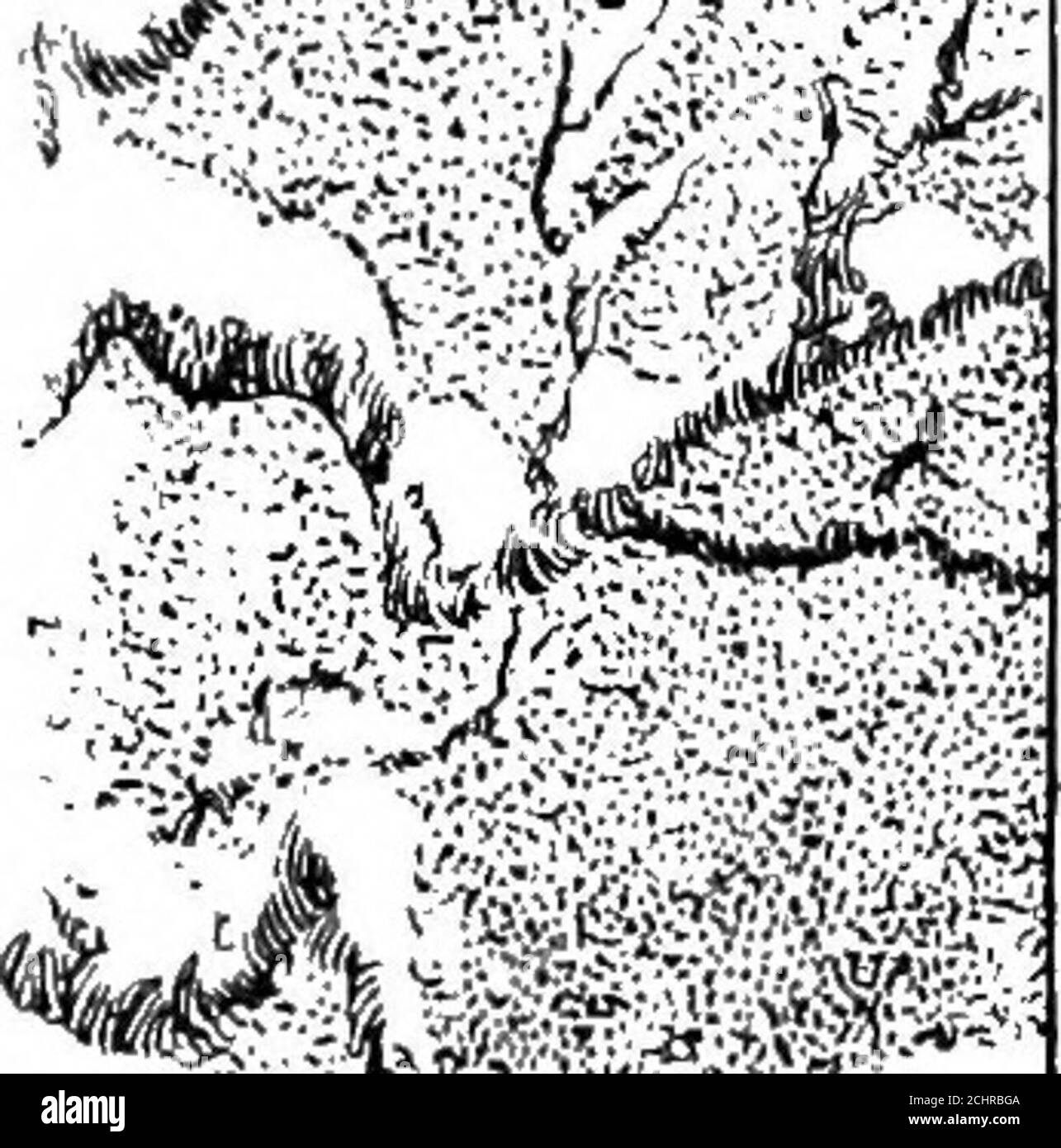 Schlagendes Herz Schwarzweiss Stockfotos Und Bilder Alamy