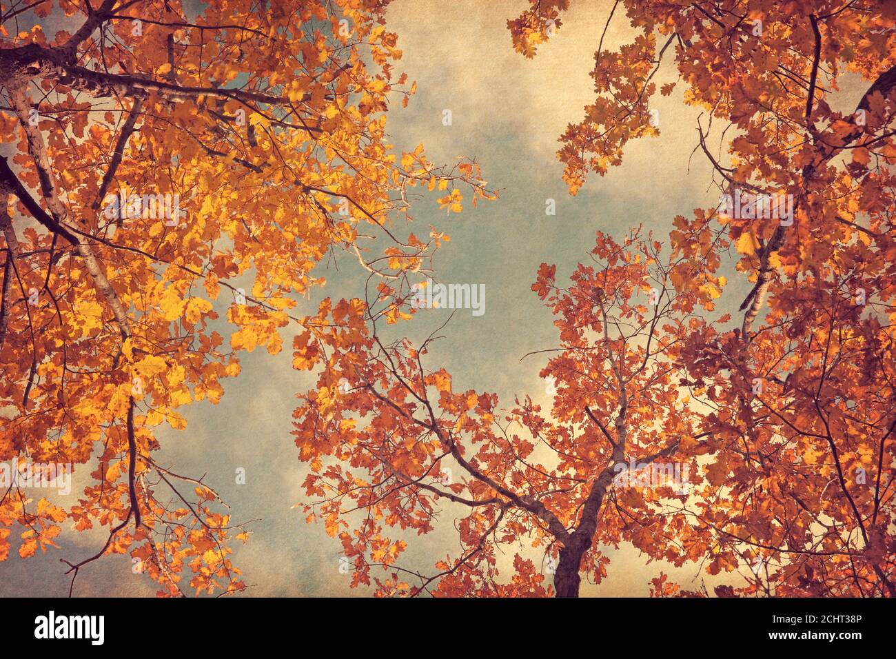 Herbstblätter von Eiche auf dem Himmel Hintergrund. Foto im Retro-Stil. Papierstruktur hinzugefügt. Getöntes Bild. Stockfoto