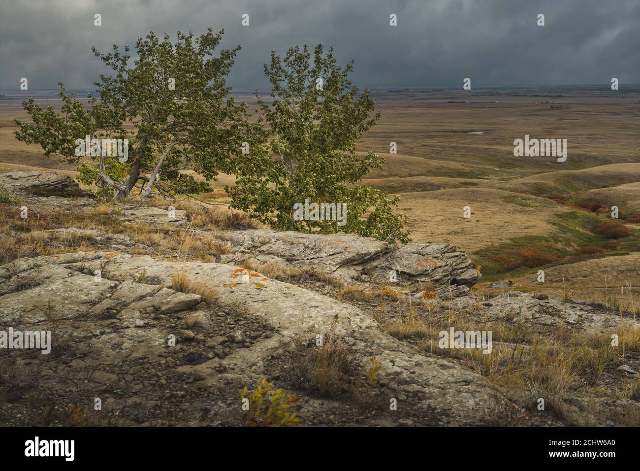Blick auf die großen Ebenen des südlichen Alberta von Heads Smashed in Buffalo Jump. Stockfoto