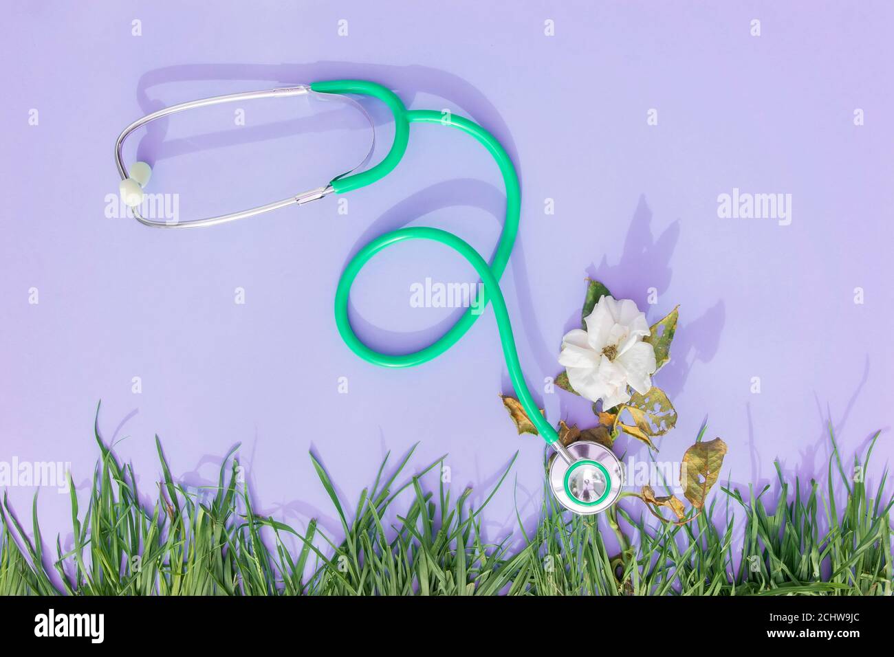 Kranke Natur Konzept, medizinische Artikel heilende Pflanzen Stockfoto