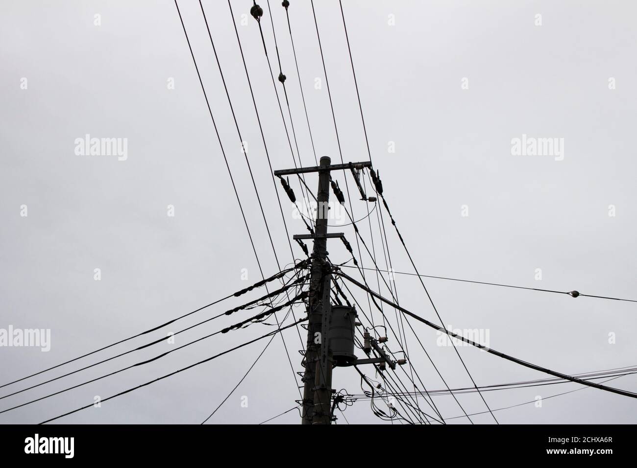 Monochrome Fotos von Strommasten, die viele Stromleitungen unterstützen Stockfoto