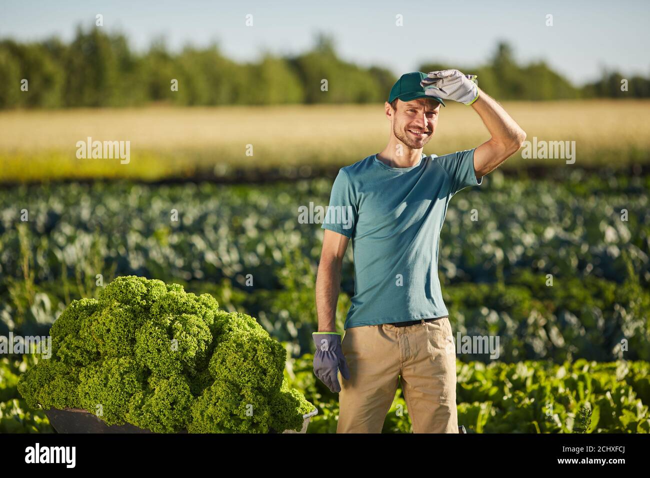 Porträt eines männlichen Arbeiters, der beladen Wagen hält und auf die Kamera schaut, während er auf der Gemüseplantage im Freien im Sonnenlicht steht, Raum kopieren Stockfoto