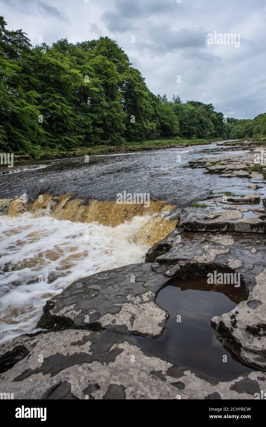 Reines sauberes Wasser fließt hinunter Aysgarth fällt in Yorkshire Stockfoto