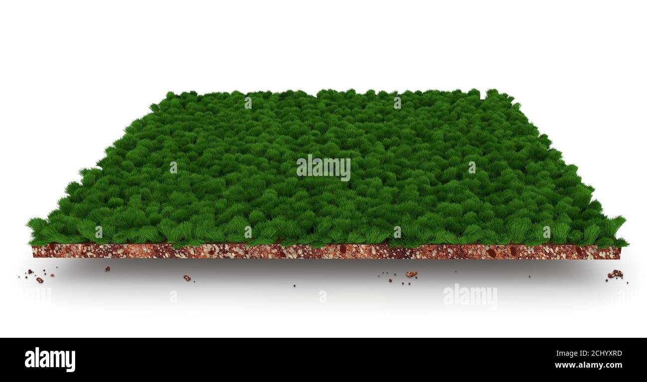 Abschnitt der Bodenschichten mit grünem Gras 3d-Illustration, grüne Spur Teil Slice isoliert auf weißem Hintergrund Stockfoto