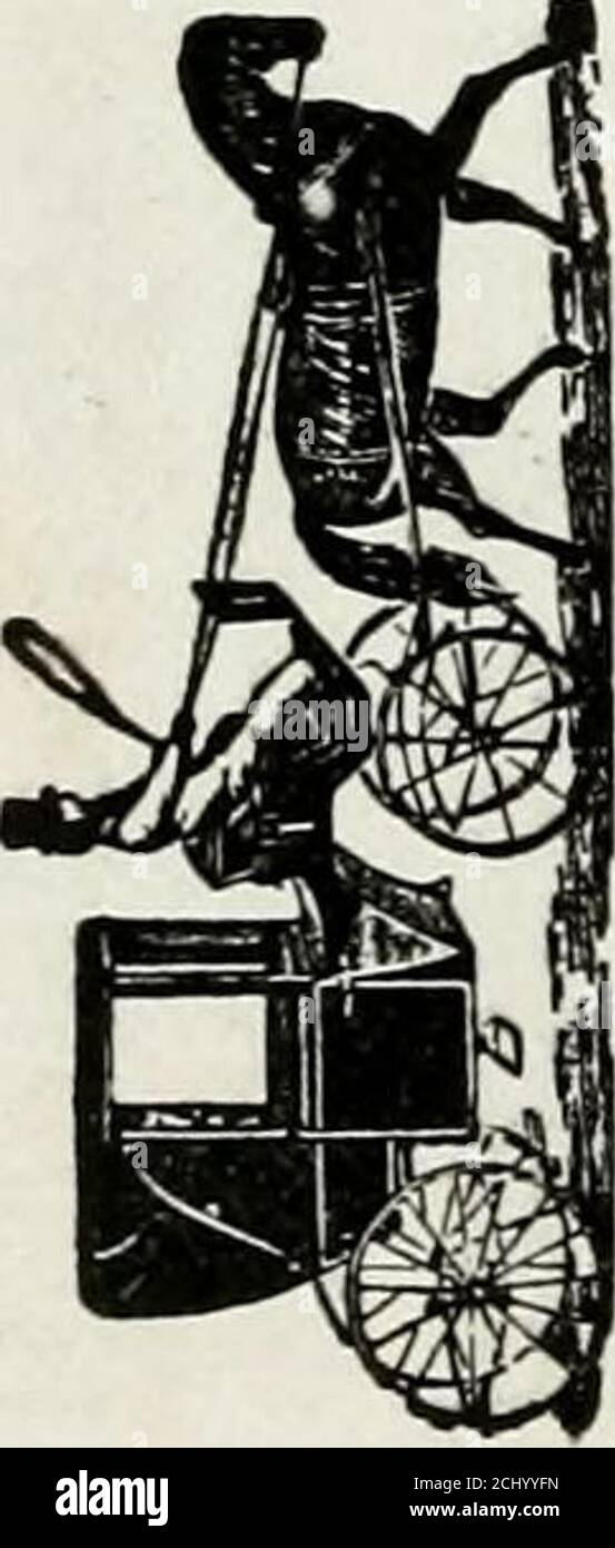 . Ogden City Director . mn S P Co, b 2171 Reeve AV. Lane WM T, blksmith O S L, b 2171 Reeve AV. Lang, siehe lang. Langan John, Forts., hinten 2322 Lincoln AV, r gleich. Langers George, Lab, RMS 2151 Sherburne AV. Langevin Frau Anna (Empire Rooming House), R 204 25. Langevin John C, hlpr, b 204 25. Langevin Katherine, Elch John Scowcroft & Sons Co, b 204 25. Langley James, emp M S T & T Co, R 508 31. Oregon Short Line Railroad ■BBBDHBHHiHl SIEHE SEITE 3 ■H^^BmBEESBHHH COCO -n o USD 2 ft z -: M O % V> 5 Z P -h O -j r ■ 1 £ZT DO   T CO £ D •) Q. J= m  * – c/> CO o CO o o> -a c •a CO •a&g Stockfoto