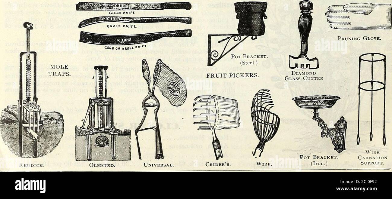 . Dreer's Herbst 1904 Katalog . n und Hedge, Amerikaner, 50 CT,; englische ETIKETTEN, BEMALT. TOPF UND BAUM. Perl 10 Zoll SO 12 ■• pro 100. Per 1000. I per Luo. Pro 1000, 314-Zoll, ALSO 10 75 5-Zoll, 0 20 1 104 •• 12 85 6 25 1 25 4K 15 1 00 I 8 35 2 50 ETIKETTEN. Für Bäume und Sträucher, 3J^-in., gekerbt, je 100, 25 CT.: Je 1000 1 mit Draht, je 100, 25 CT.; por lOO . 1 Celluloid, 5 sortiert, «mit Tinte 1 Kupfer, unzerstörbar, schwer. Nr. 2, doz. ,30 CTS.; Brutto 2 Light, Nr. 2, per doz., 25 CTS.; per Brutto 1 White Metal, per doz., 15 CTS; per Brutto 1 Zink, Baum, schwer, klein, pro Klo, 6 Stockfoto