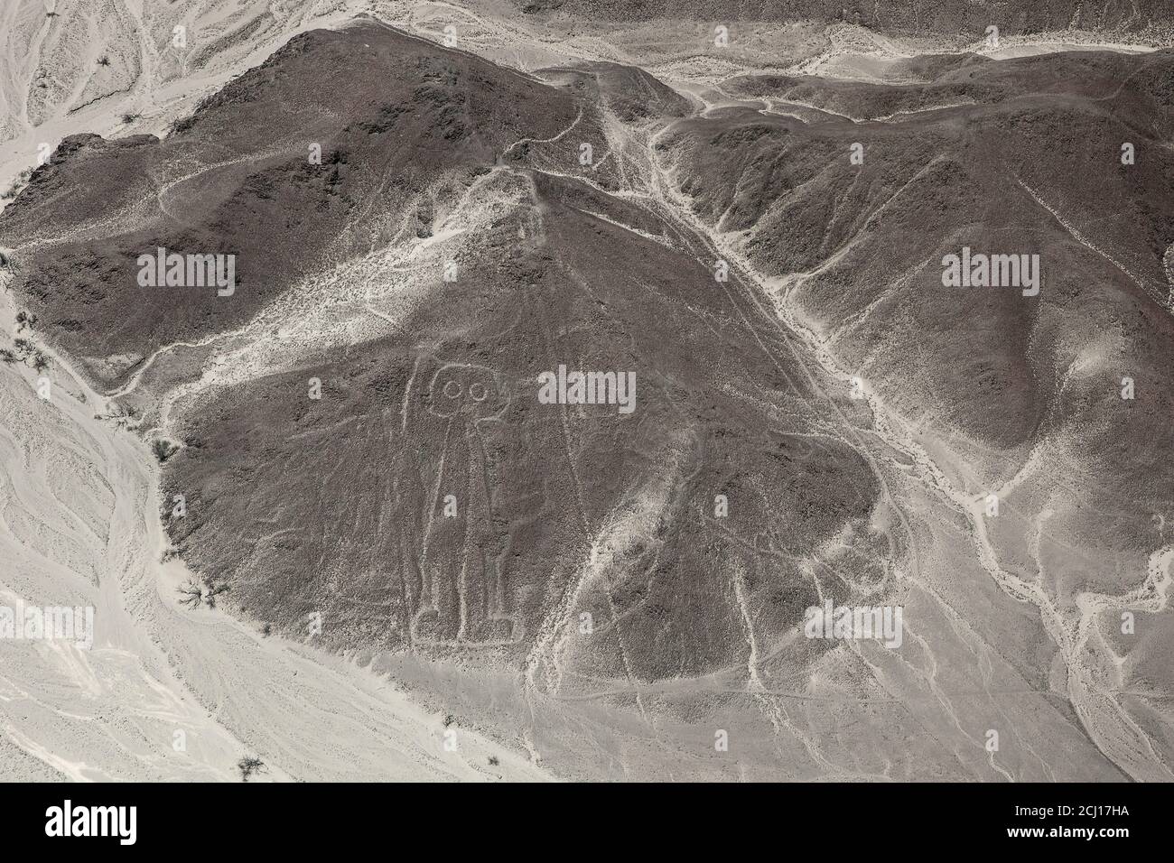 Der Astronaut oder der Eulenmensch oder die Riesengeoglyphe Nazca, Peru Stockfoto