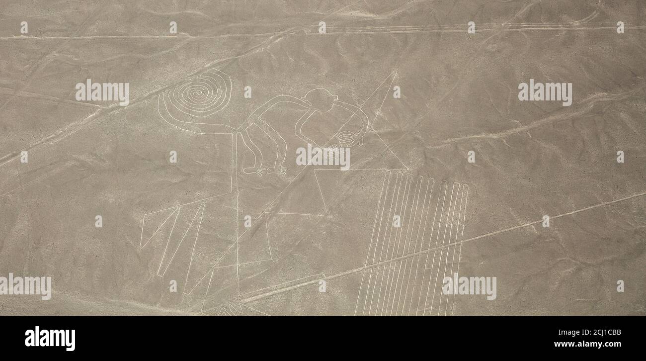 Der Affe, Nazca Lines, Peru Stockfoto