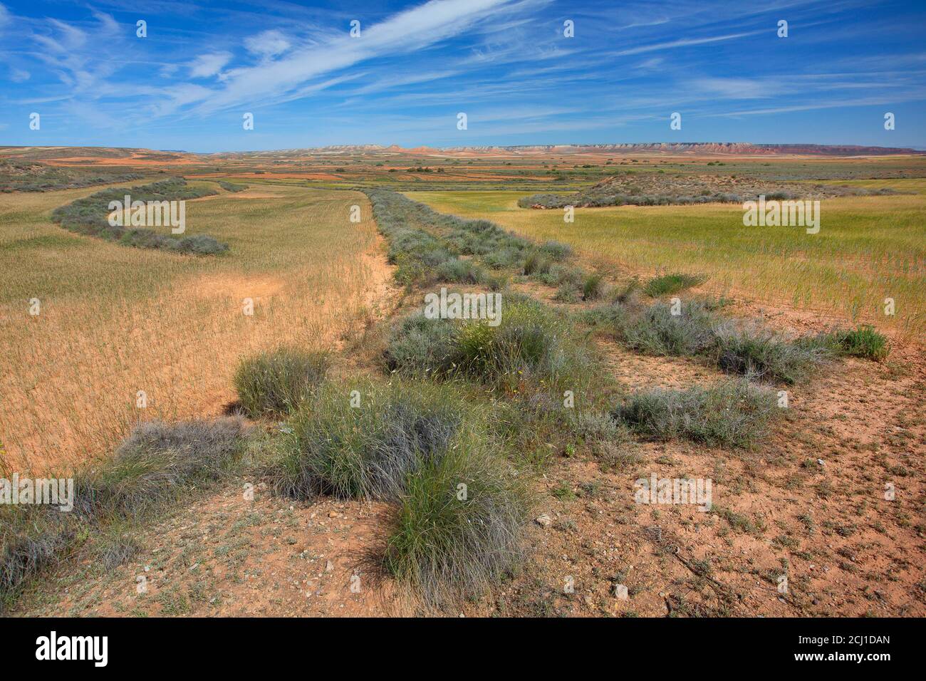 Steppen von Belchite, Spanien, Aragon, El Planeron, Belchite Stockfoto