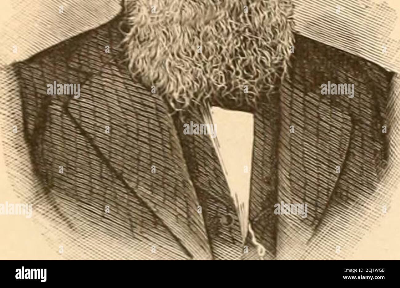 . Geschichte der Grafschaften Ingham und Eaton, Michigan. B. F. BRUNNEN. Ziegelwohnung. Mr. Wells wurde zweimal verheiratet: Zuerst, am 30. April 1848, mit Miss Ann M., Tochter von Lewis und Mary Benham, von Clarendon, Calhoun Co. Am 25,1856. Mai starb sie und hinterließ vier Kinder. Eine zweite Ehe, 26. März 1857, mit Malissa R., Tochter von John und Artemisia Hamilton, von Madison Co., N. Y., die zwei Kinder geboren hat. Mrs. Wells hat ein beispielchristliches Leben als Mitglied der Methodist Episcopal so-ciety über dreißig Jahren geführt. Mr. Wells wurde häufig in Positionen des Vertrauens berufen, die er besetzt hat Stockfoto