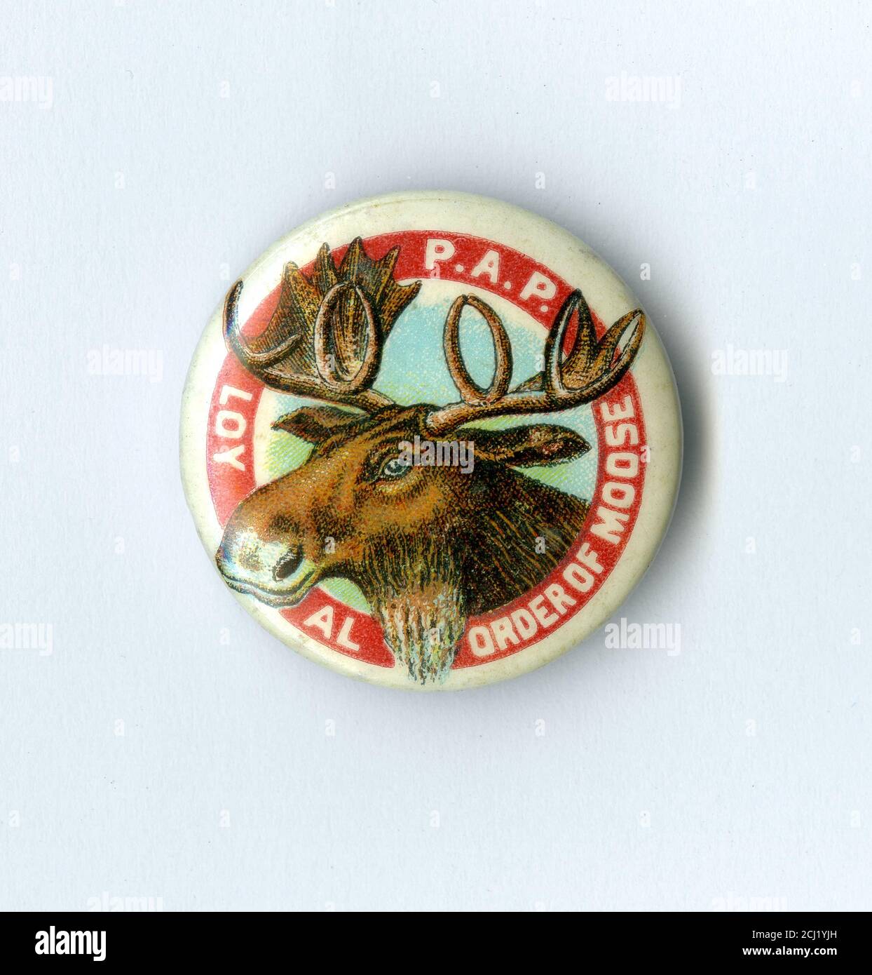 Royal Order of Moose Pin Stockfoto