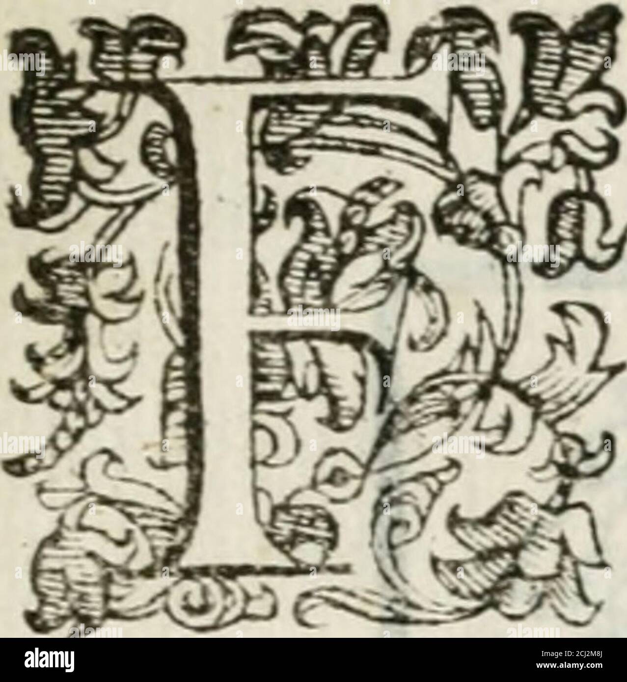 . Stanze cantate da vn fanciullo : in compagnia et a nome della Contrada della Lupa, festeggiante dinanzi à S.A.S. l'anno 1590 in Siena . ONNJ Rea[, chd Franc9 alToJco regnoDi Folio y fanto ^ e dolce nodo hai ìlretto;Onde a quei così giunti onta^, è di [he tao Pauenteran di far NRA,e lo sdegno^ x ^-^ fvDeh non foffriry che di mefii:(^ia fegnoTur hil (jrango, ducto, Jlio à col tuo celere affetta^della fj?eme de Tojchi alto f&^legno,Vieni y e tra nof. Pace ^ e Giufti:^ia in/temeDolci vedrai haciarji y el vaio piena , 4^Ver far la copia afuoi foggetti fofra. ^, Quinai Stockfoto