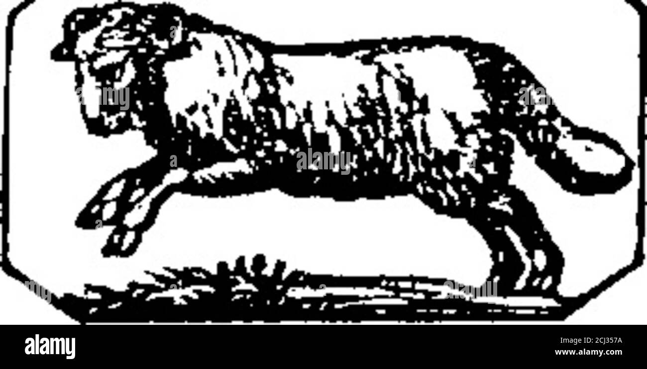 . Miller's Planters' & Kaufleute' State rights almanac, für das Jahr unseres Herrn 1862 [elektronische Ressource]: Als die zweite nach Schaltjahr : und 2. Der südlichen Unabhängigkeit : Berechnet für den Meridian von Carolina & Georgia, mit den üblichen astronomischen Berechnungen, mit der Zeit des Hochwassers, und eine neue Gezeitentabelle . 9251381450 X T U MOONR. S. 9101011 Hwa H. M. 12 10 8 2571051.11Morn. Morn.44; 0 2034-21. 43 1953 59 0 270 0 3N. 200 4311I2233 1 2 3 4 5 6 7 8 9 lo! 311 4 731541841 5285115 233 45Sh D Anstieg 6 57 8 7. 9 17; 8 10 26 9 11 3410Morn.11 mz 64521 5841 38 17 im Vergleich zu K 1815 8564 Stockfoto