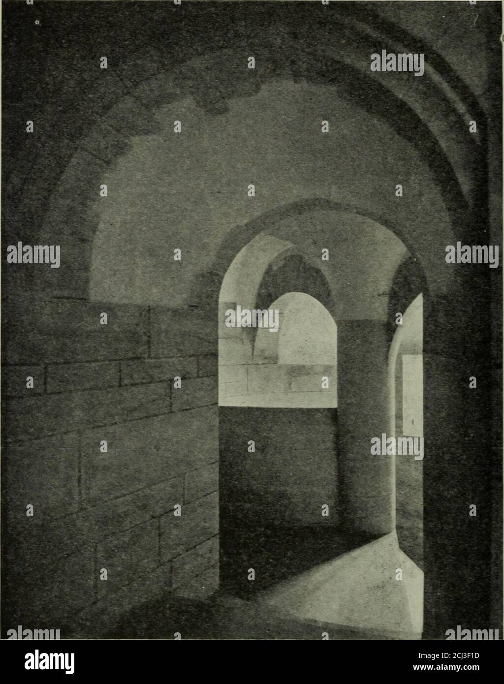 . Lutyens Häuser und Gärten . « oo a H o 10 136 Lambay Castle. 96. – an der Spitze der Steinstair im Neuen Flügel, Lambay. Was viel zu sagen. Die großen grauen Dichtungen, die inden Höhlen züchten, sind travel attraktivsten seiner indigenen Ani-mals; aber das Damhirsch, das durch Graf Considine eingeführt wird, und das Mufflon, Gämsen und Rheas, travel zur Insel von Herrn Baring geholt werden, fügen zu seinen Anziehungen hinzu. Lambay ist ein Paradies von Vögeln, vor allem im Sommer, und in der Nähe von einem gehühlten Sorten machen es ihr Zuhause. Es ist auch eine Insel abseits. Auf den Klippen wachsen Hektar von Skorbut-Gras, mit seiner Prosperos Islane Stockfoto