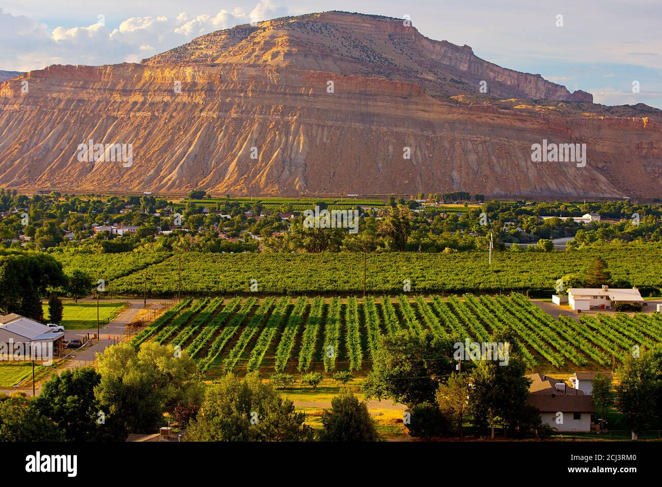 Palisade, Colorado, mit den Book Cliffs Mountains Stockfoto