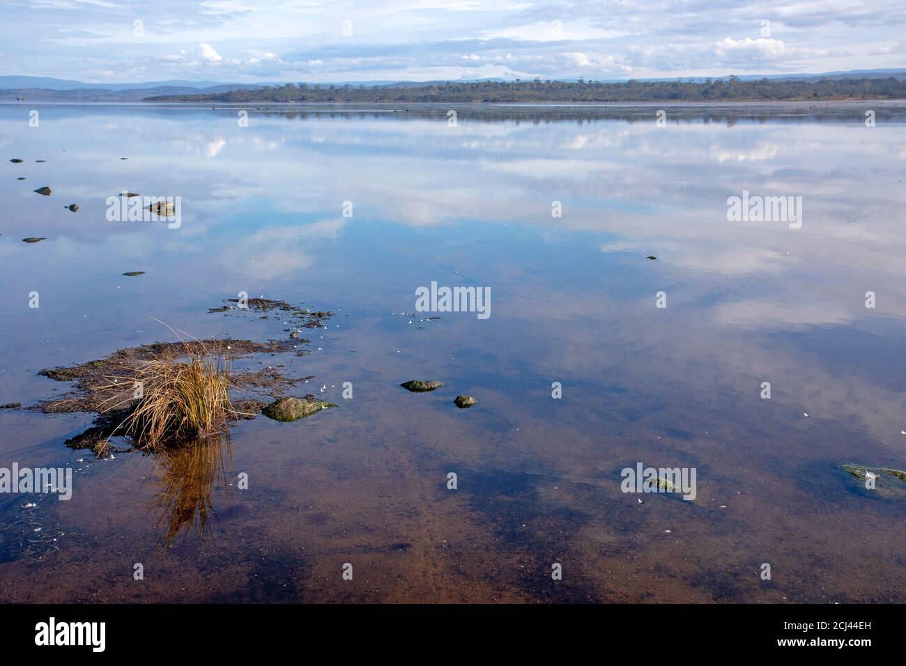 Molting Lagoon auf der Freycinet Peninsula Stockfoto