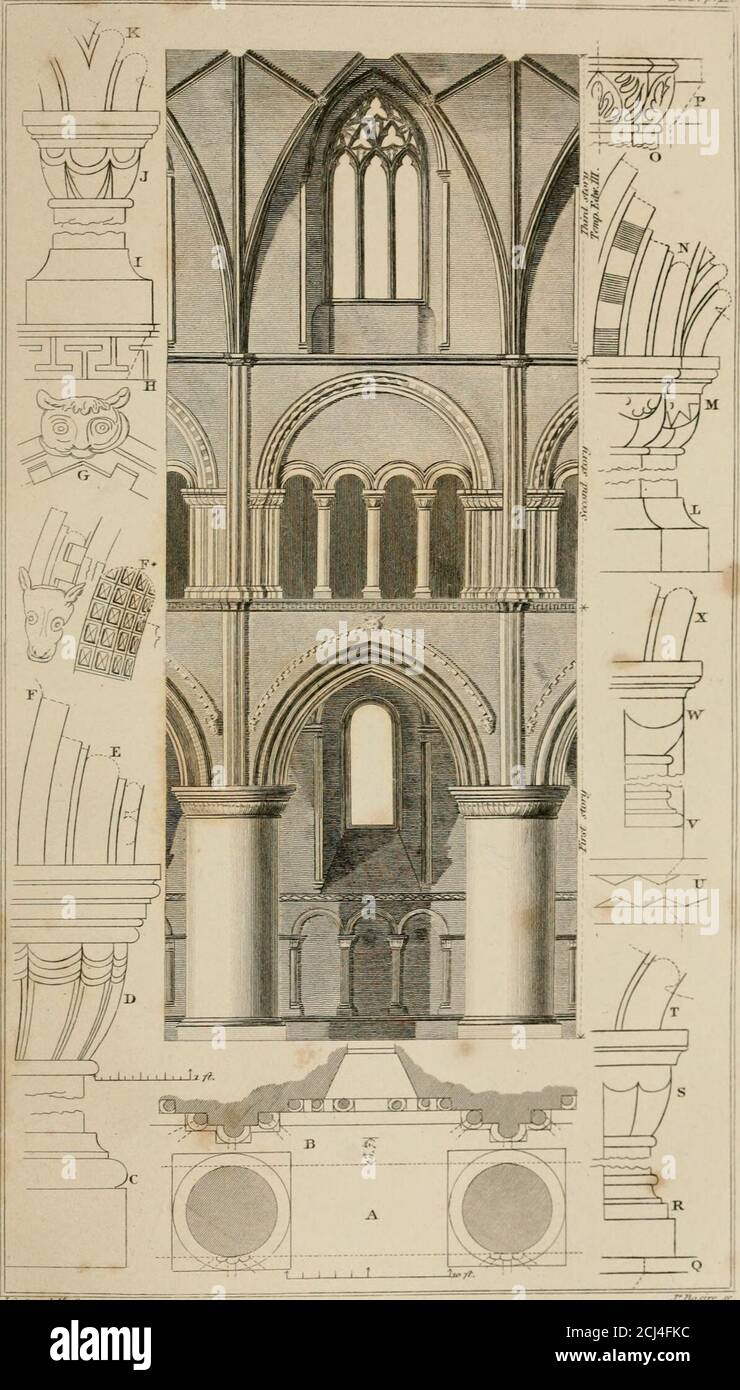 . Enzyklopädie der Altertümer : und Elemente der Archäologie, Klassik und mediæval . ets: O. Crockets, wie von Mr. Hawkins (in seiner Geschichte der gotischen Architektur), von Berufs-alisten als Scroll-Creepers. p.Scroll-Creepers in der Kette von Dado zum Inneren der St. Pauls Cathedral.Q. Scroll-Creepers von Gibbss Rulesfor Drawing, J 732. r. Crocket (real), York Cathedral, vierzehnten Jahrhundert.s. Dito, Abteikirche, Bath, sechszehntes Jahrhundert. Anglo-Saxon Architecture,Plate III. – Diese Platte wurde von Mr.Carter zusammengestellt, hauptsächlich zum Zweck des Exhi-beißens von frühen Exemplaren geclusterter Co-lumns Stockfoto