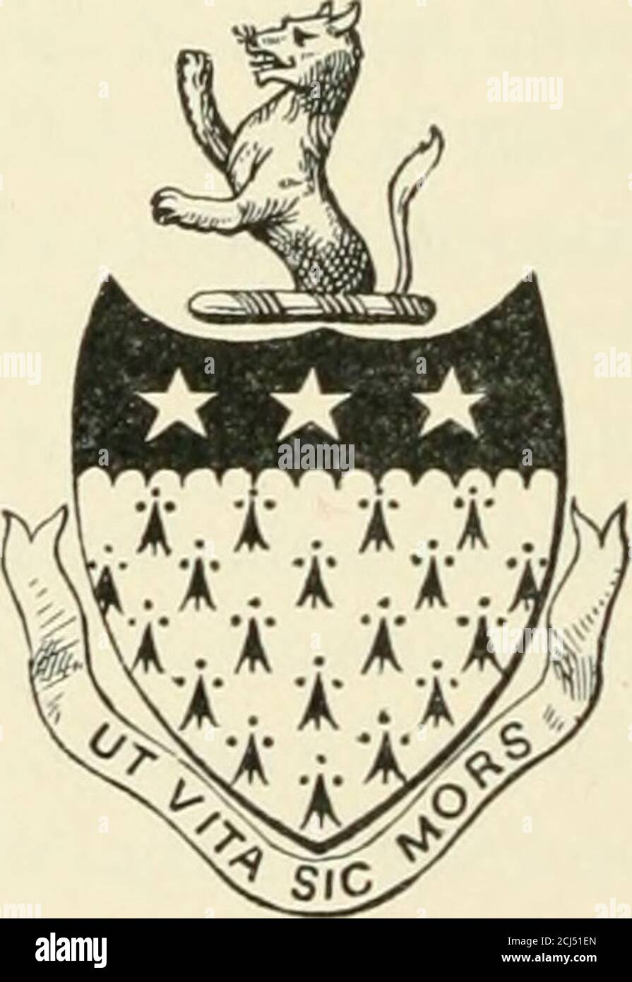 . Geschichte der Stadt New York: Seine Herkunft, Aufstieg und Fortschritt . Absolventen von Colum-bia-College, und erhielt in Holland seine kaufmännischen Ausbildung.^ seine citiresidence war in Pearl Street, obwohl er später eine finemansion in der Wall Street. 1 Daniel Cromnieliu Veq)lanck, geboren 1762, war zweimal verheiratet. Seine erste Frau, Eliza-beth, Tochter des Präsidenten William Samuel Johnson vom Columbia College, Mutter von GnlianC. Verplanck, starb 1789 im Alter von vierundzwanzig Jahren. Seine zweite Frau war Ann, nur Tochter von William und Ann De Lancey Walton; ihre Kinder waren Marj Ann, Louisa, Samuel Stockfoto