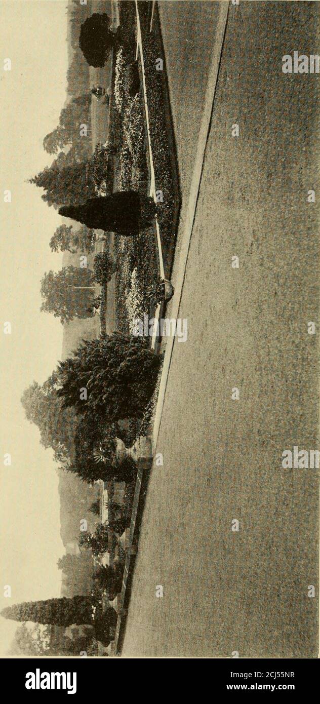 . Europäische und japanische Gärten; Papiere vor dem American Institute of Architects gelesen .. . Englischer Garten. Europäische und japanische Garde NS Stockfoto