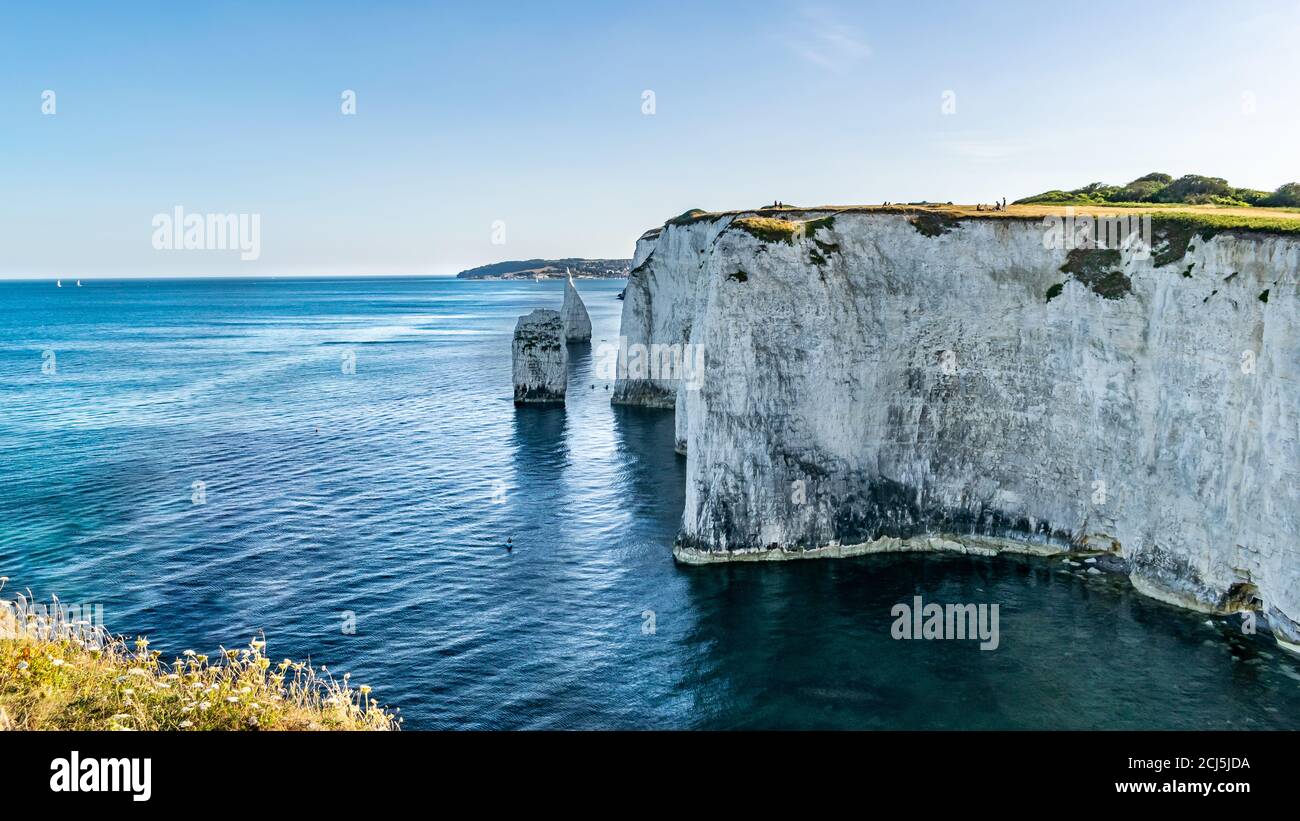 Alte Harry Rocks Kreideformationen, Blick auf Handfast Point, Dorset, Südengland. Riesige Wand aus weißen Kreidefelsen mit Baumstümpfen und Höhlen, Touristen Stockfoto
