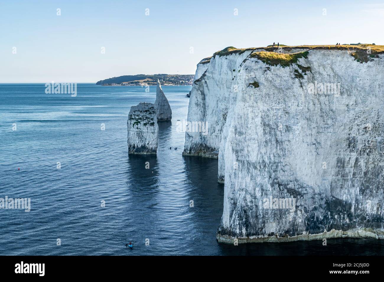 Alte Harry Rocks Kreideformationen, Blick auf Handfast Point, Dorset, Südengland. Riesige Wand aus weißen Kreidefelsen mit Baumstümpfen und Höhlen, Touristen Stockfoto