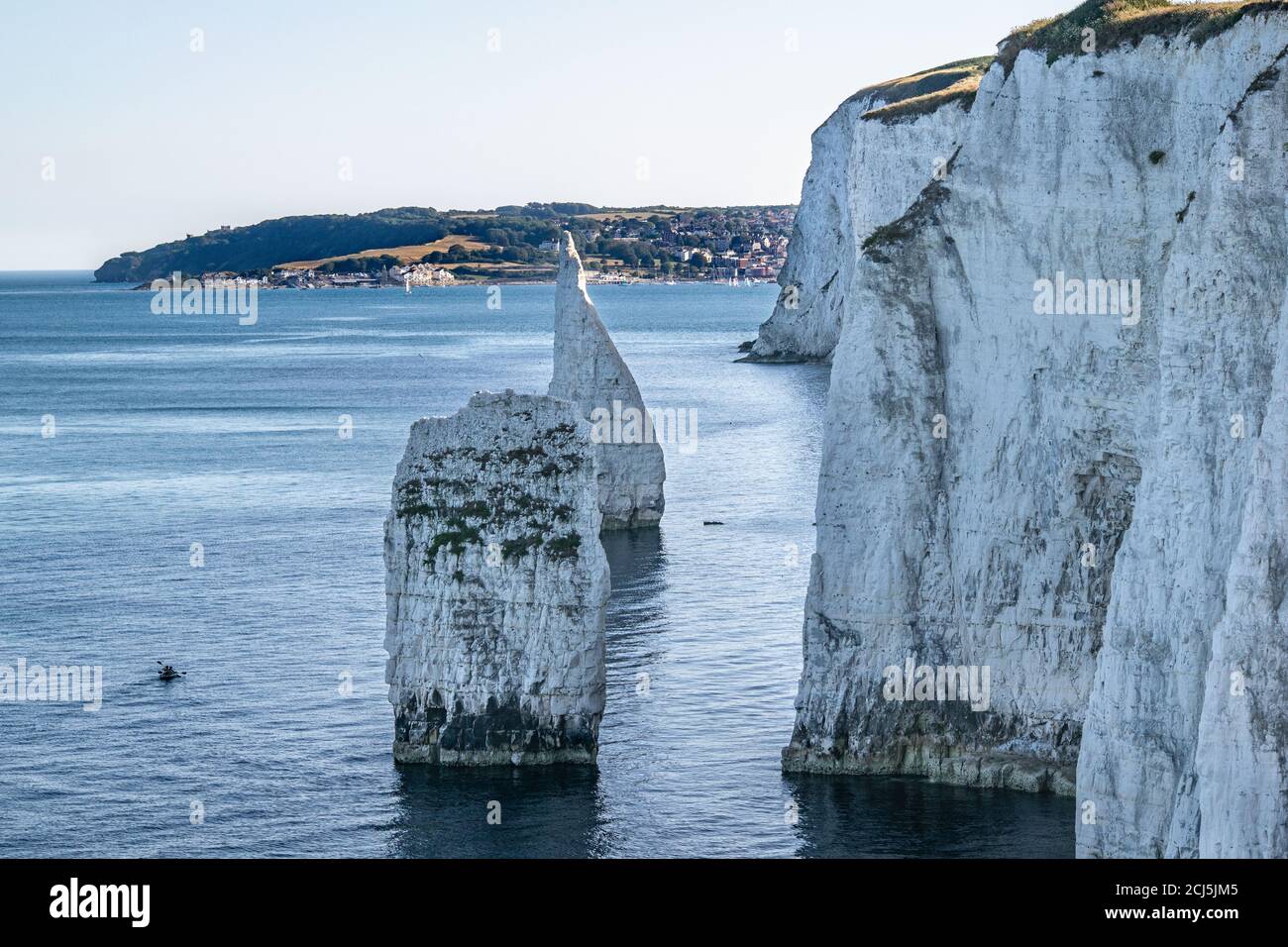 Alte Harry Rocks Kreideformationen, Blick auf Handfast Point, Dorset, Südengland. Riesige Wand aus weißen Kreidefelsen mit Baumstümpfen und Höhlen, Touristen Stockfoto