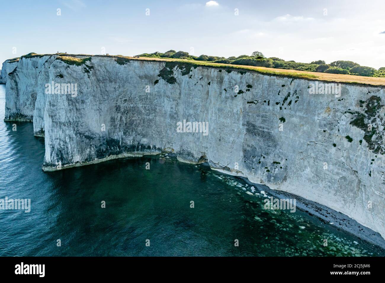 Alte Harry Rocks Kreideformationen, Blick auf Handfast Point, Dorset, Südengland. Riesige Wand aus weißen Kreidefelsen mit Baumstümpfen und Höhlen, Touristen Stockfoto